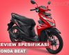 Spesifikasi dan Harga All New Honda Beat
