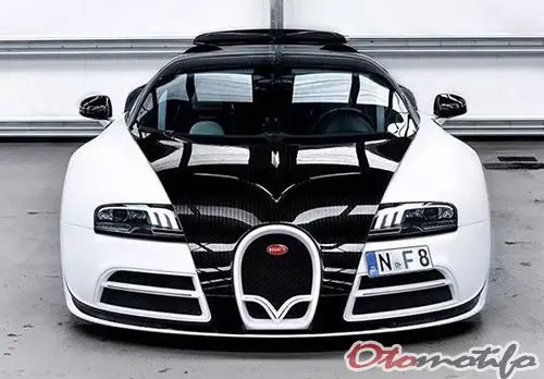 Bugatti Veyron by Mansory Vivere