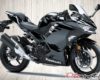 Spesifikasi dan Harga Kawasaki Ninja 250 2018