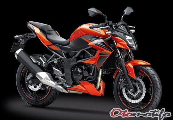 Review Kawasaki Z250SL ABS