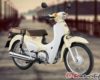 Spesifikasi dan Harga Honda Super Cub