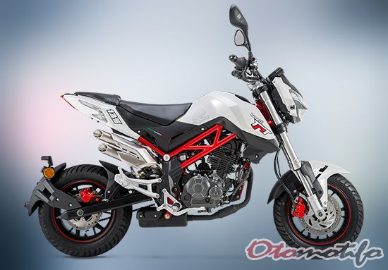 Hobi mengendarai sepeda motor bebas dilakukan siapa saja 10 Harga Motor Mini Trail dan GP Terbaru 2019