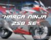Kawasaki Ninja 250 SE