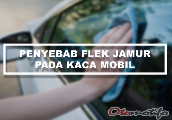 Pembersih Jamur Kaca Mobil