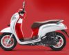 Oli Honda Scoopy Terbaik