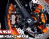 Fungsi Piringan Cakram