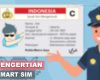 Apa itu Smart SIM