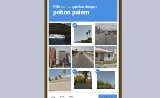 Index Of Wp Content Uploads 2019 10