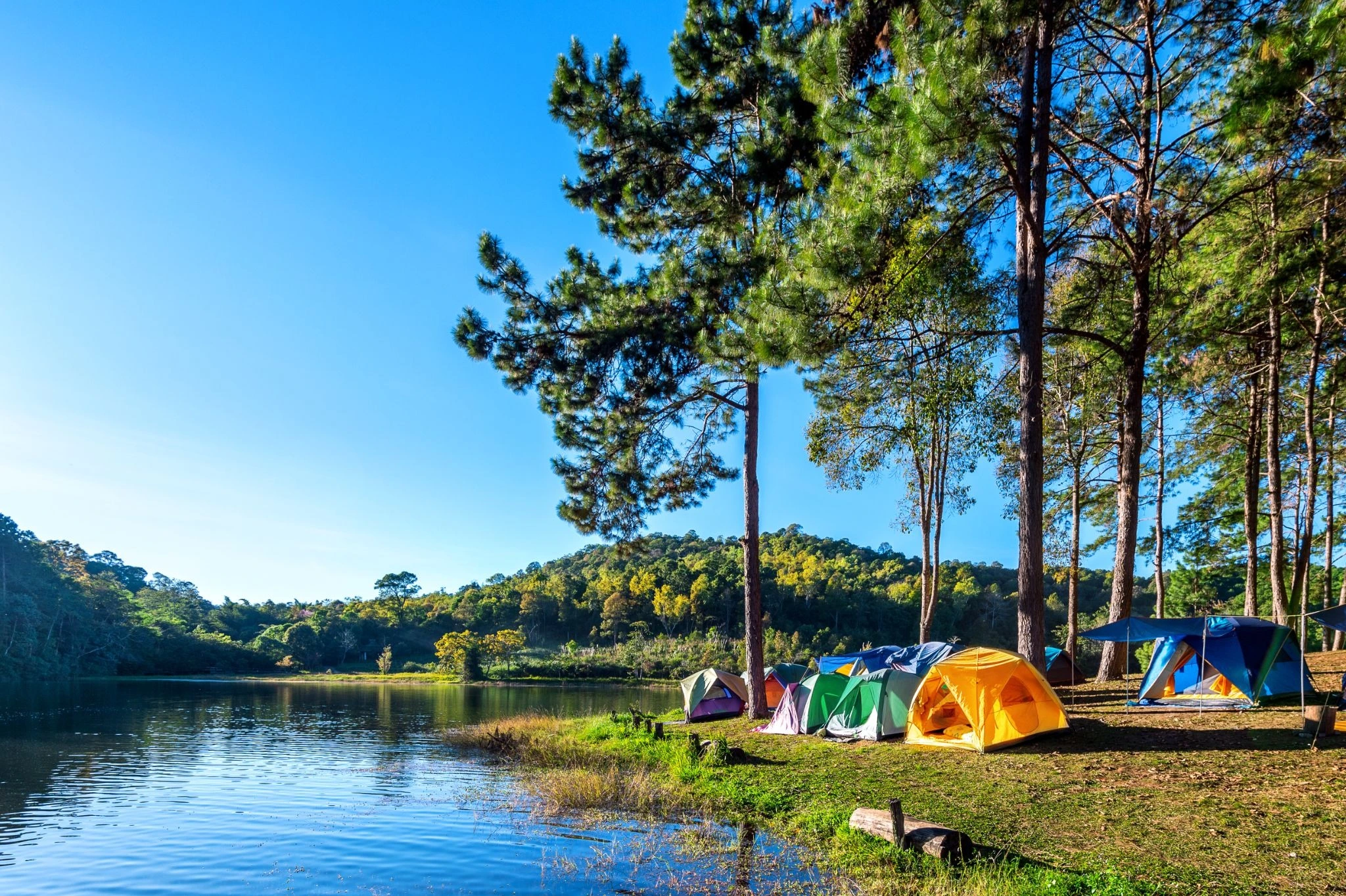 mobil untuk camping